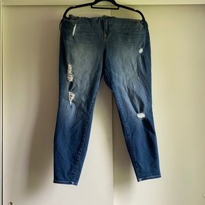 Torrid Jegging Denim Jeans